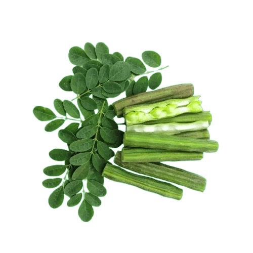 Moringa